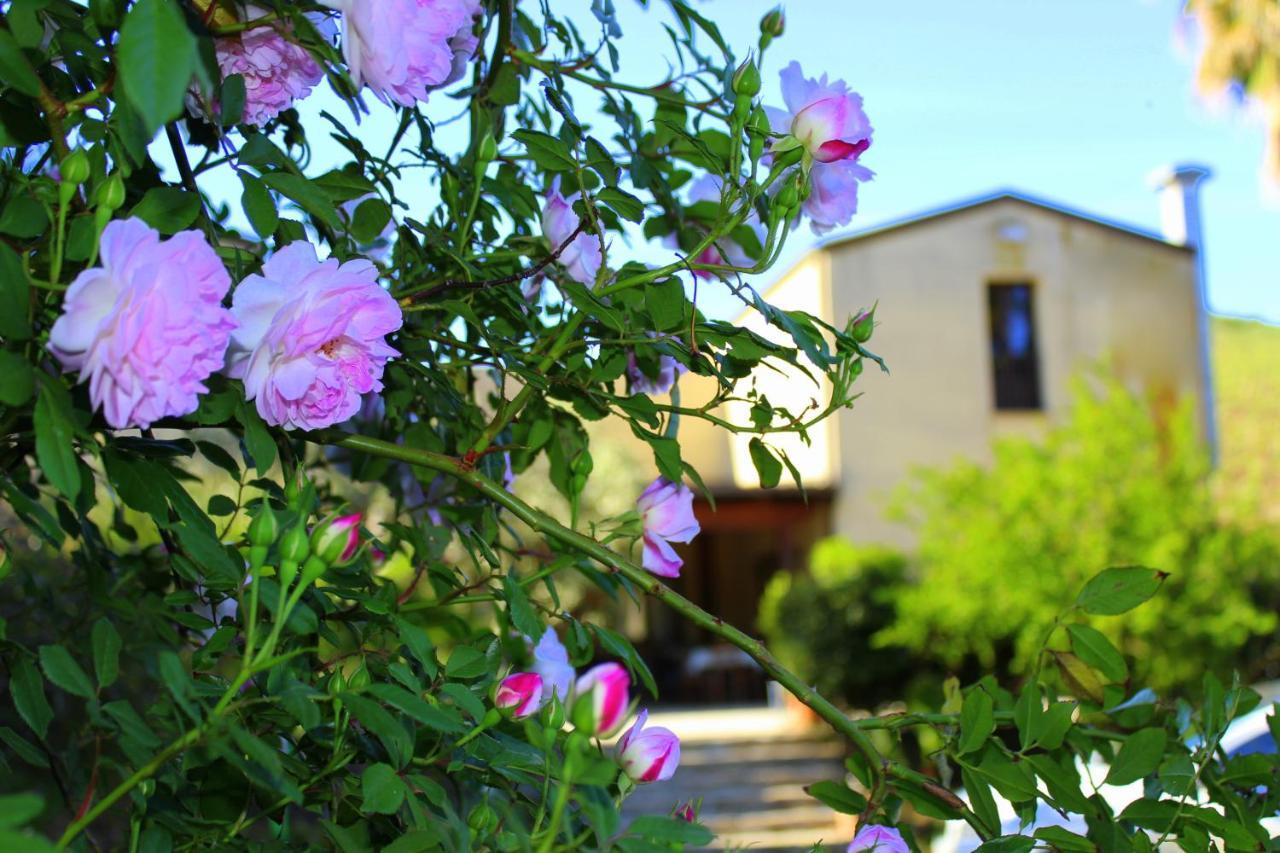 Agriturismo Tarantola Villa Alcamo Esterno foto