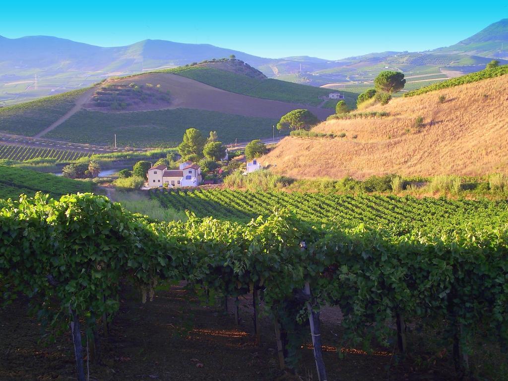 Agriturismo Tarantola Villa Alcamo Esterno foto